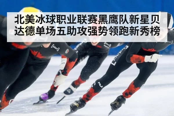 北美冰球职业联赛黑鹰队新星贝达德单场五助攻强势领跑新秀榜
